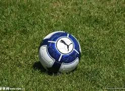 德篮甲焦点,战连下三城,柏林海德堡,南宫28NG娱乐,南宫28NG娱乐官网,南宫28NG娱乐官网玩家首选