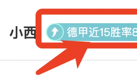 欧文称：印尼逆境中反败为胜，进账五球表现出色。